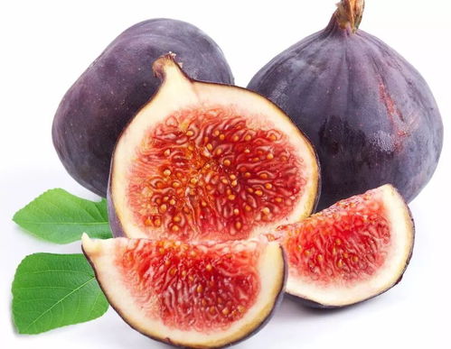 中秋養(yǎng)生佳肴 楊志敏教授推薦果品燉雞，溫潤團(tuán)圓好滋味